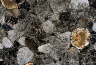 fossilized-smoky-quartz-2